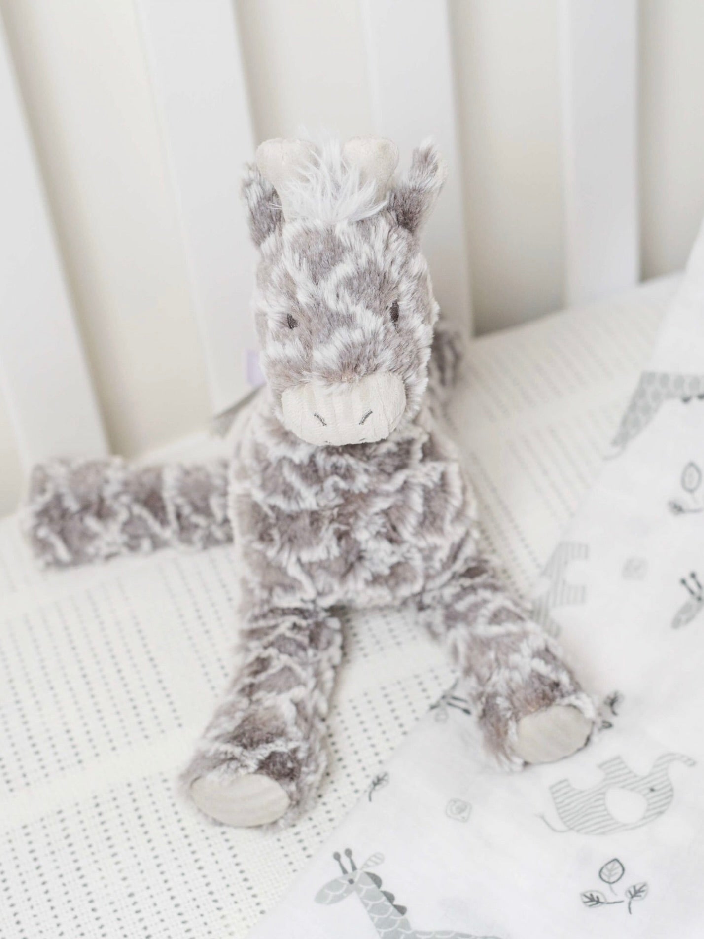Afrique Giraffe