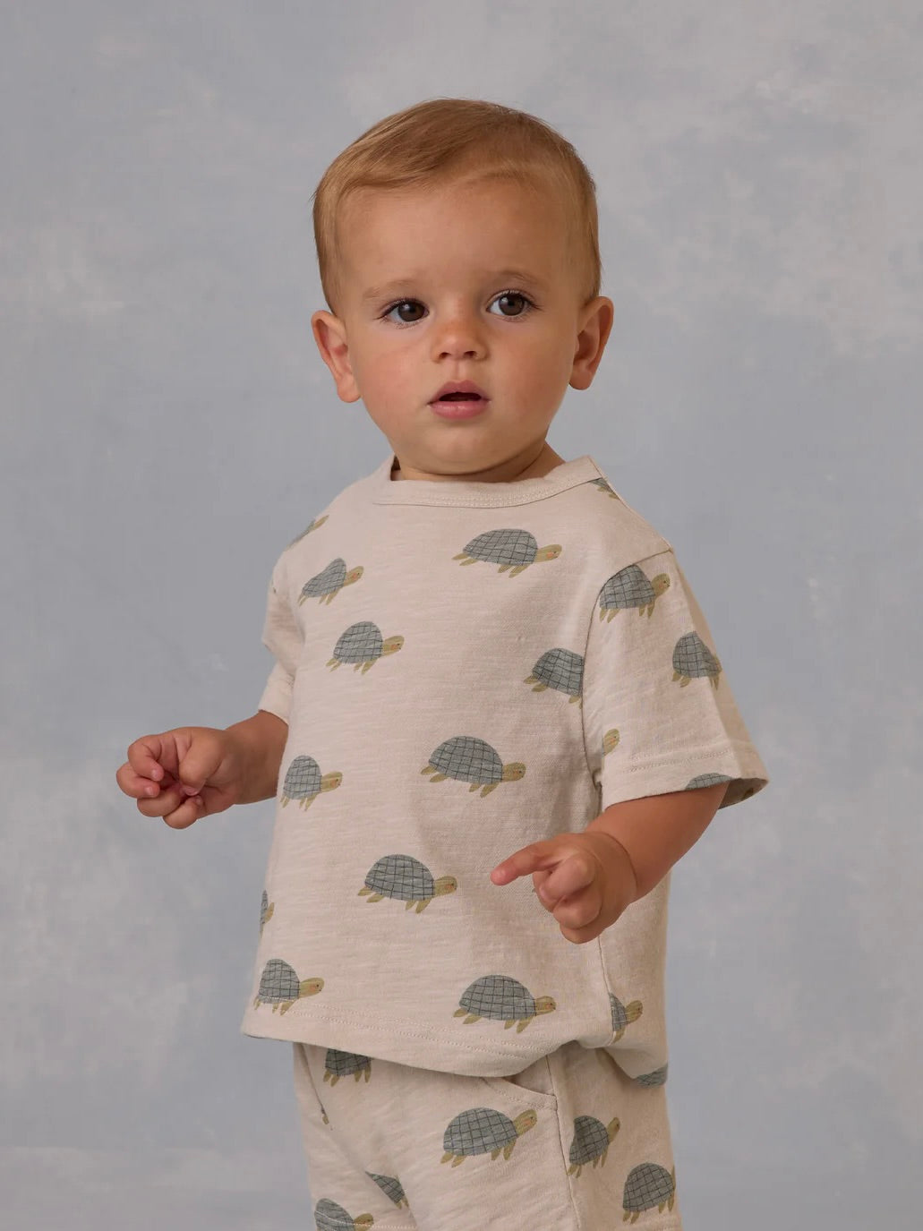 Sea Turtles Play Set