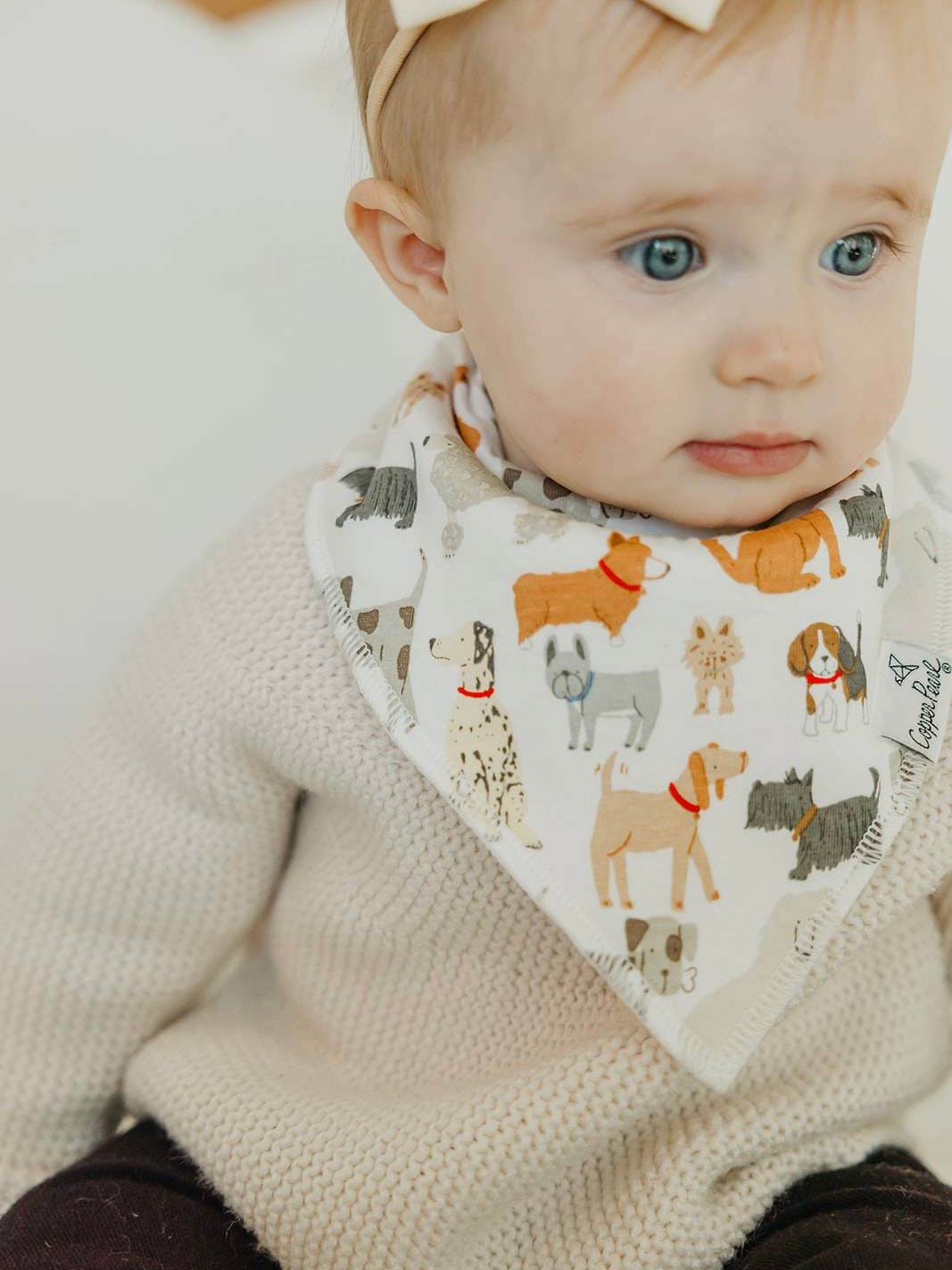 Bandana Bib 4-Pack - Rufus