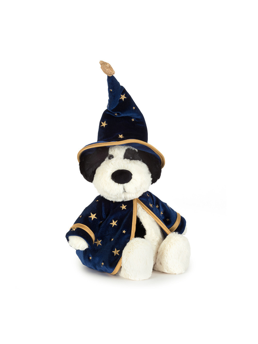 Rufferty Puppy Wizard Outfit