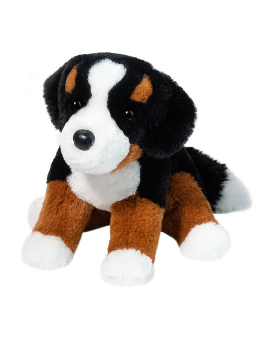 Bowie Bernese Mountain Dog