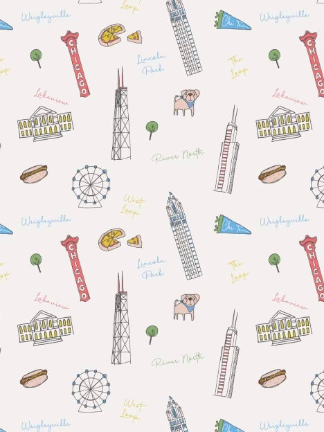 Sweet Home Chicago Tank Twirl Dress