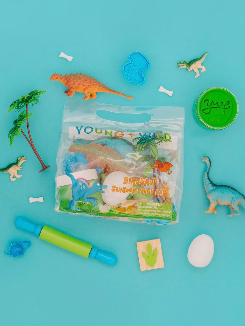 Dinosaur Sensory Dough Bag