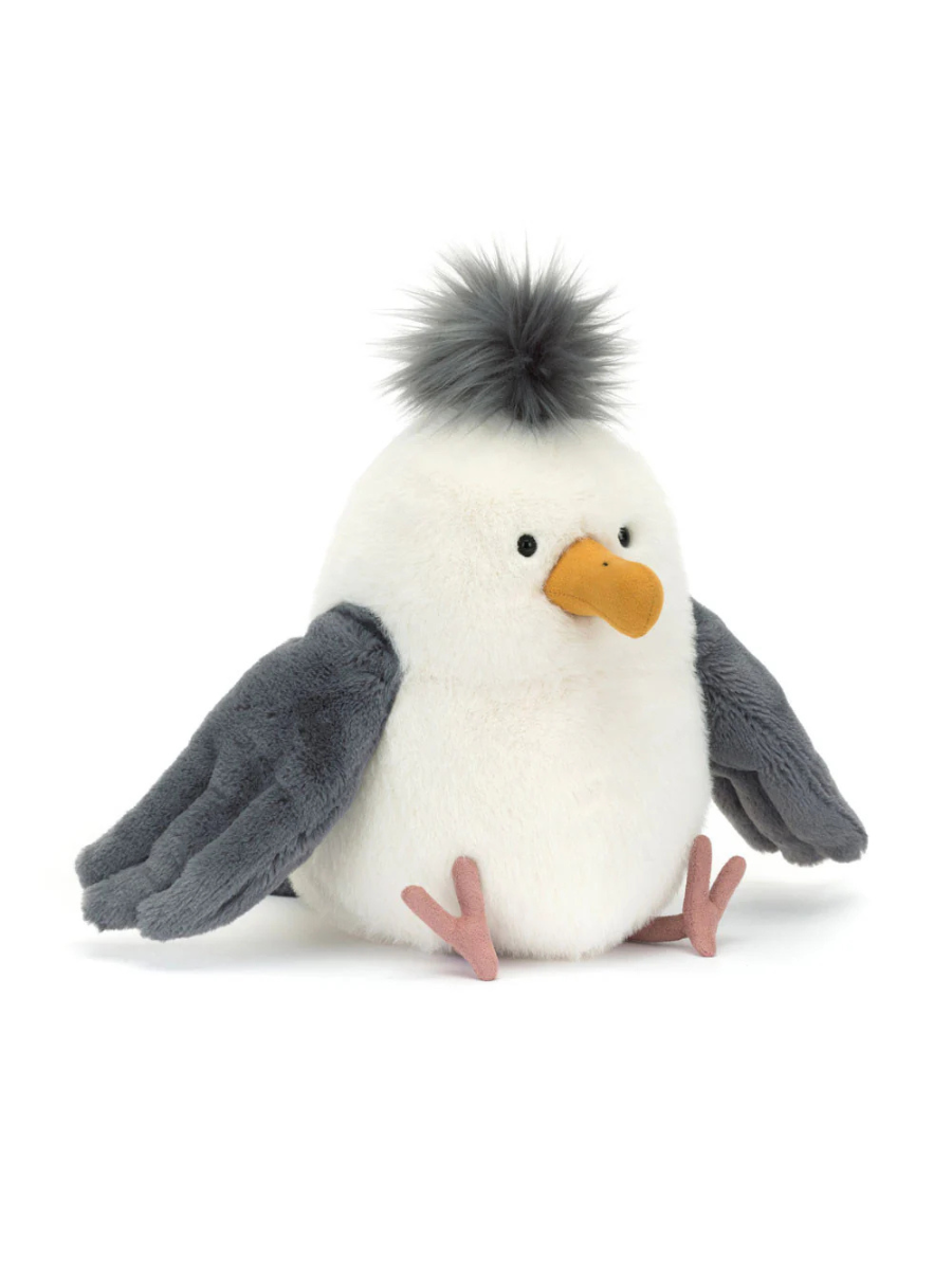 Chip Seagull