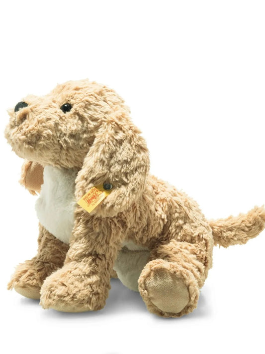 Berno Goldendoodle