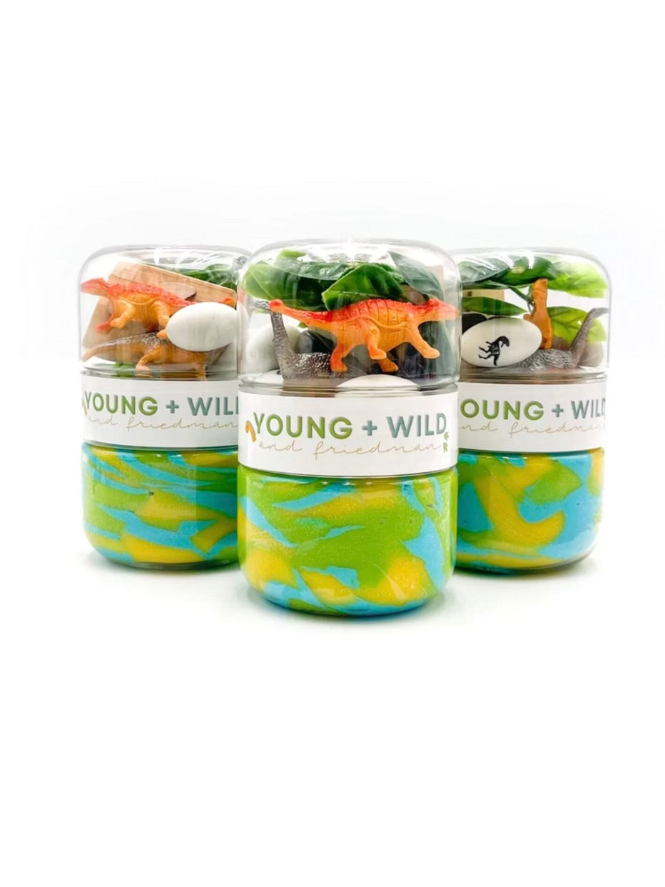 Grab & Go Dough Jar - Dino Fossils