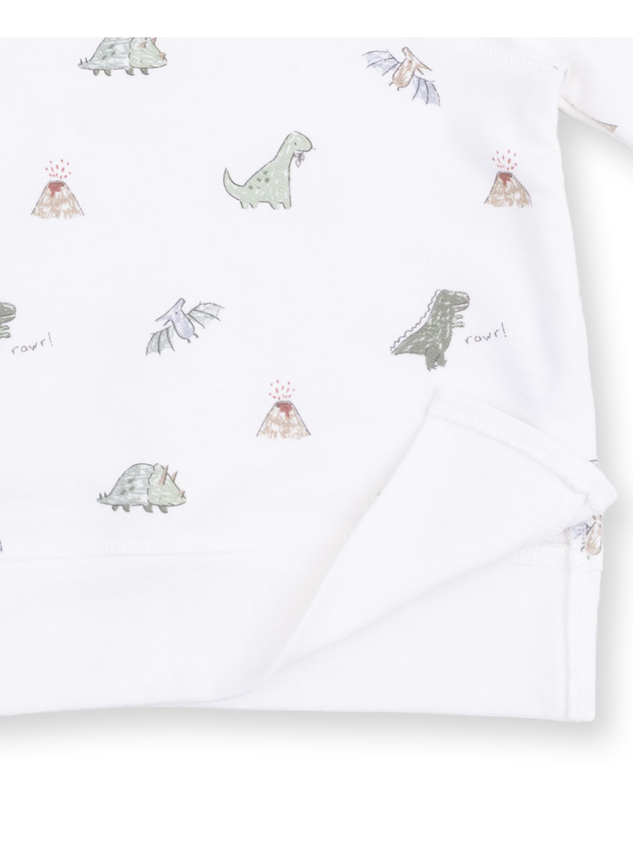 Dinos French Terry Raglan Sweatshirt