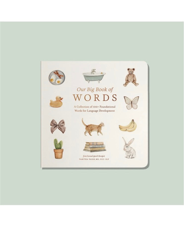 Our Big Book of Words