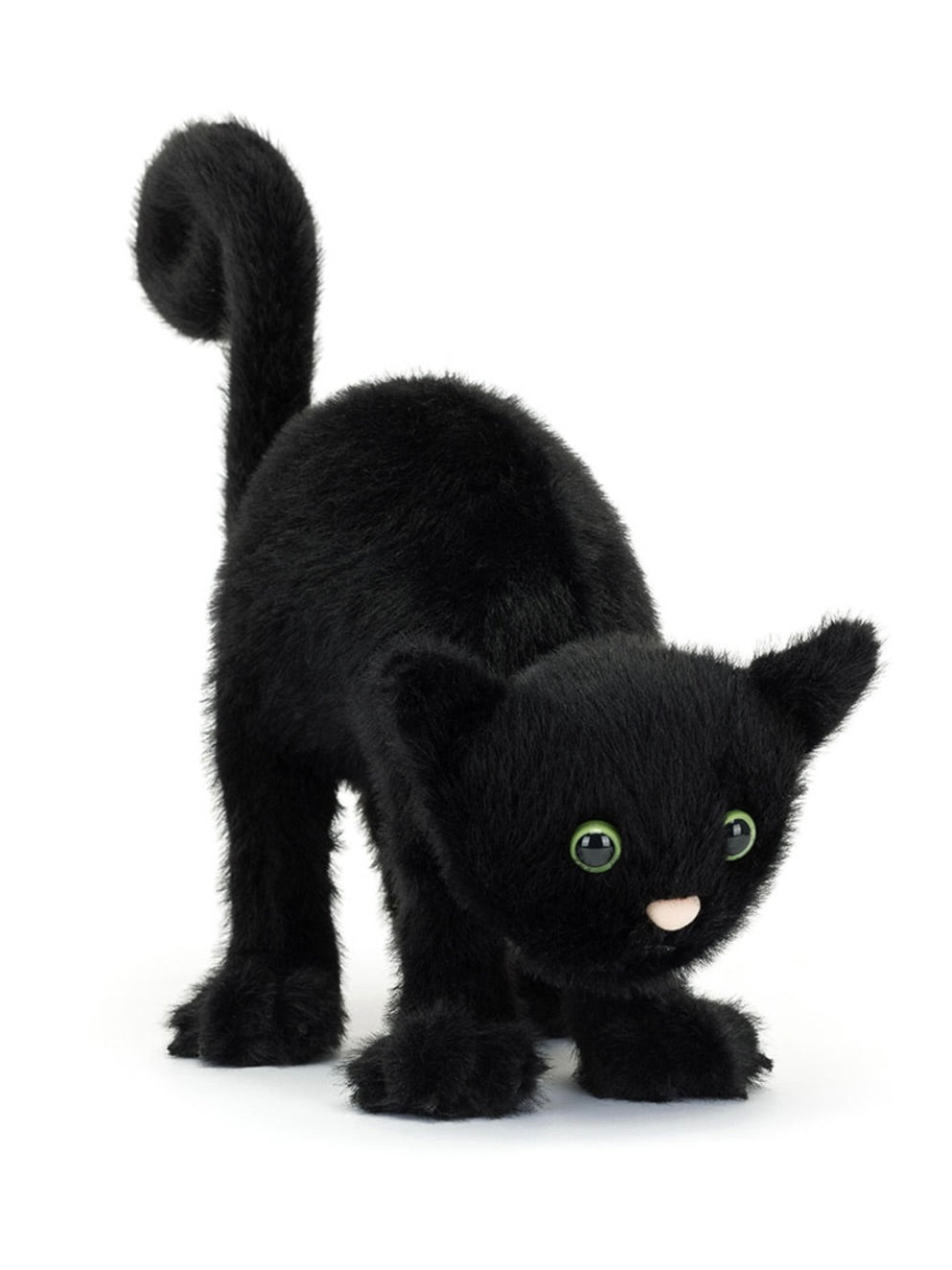 Spookipaws Cat