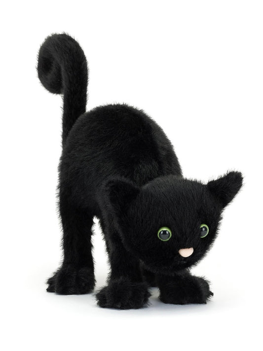 Spookipaws Cat