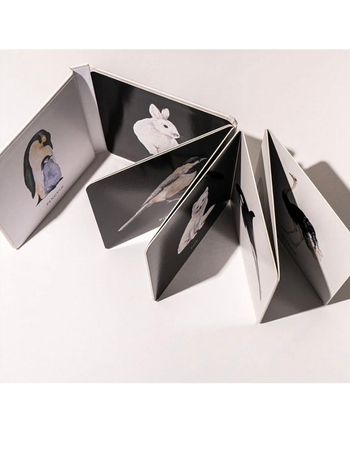 Black and White Contrast Book for Baby