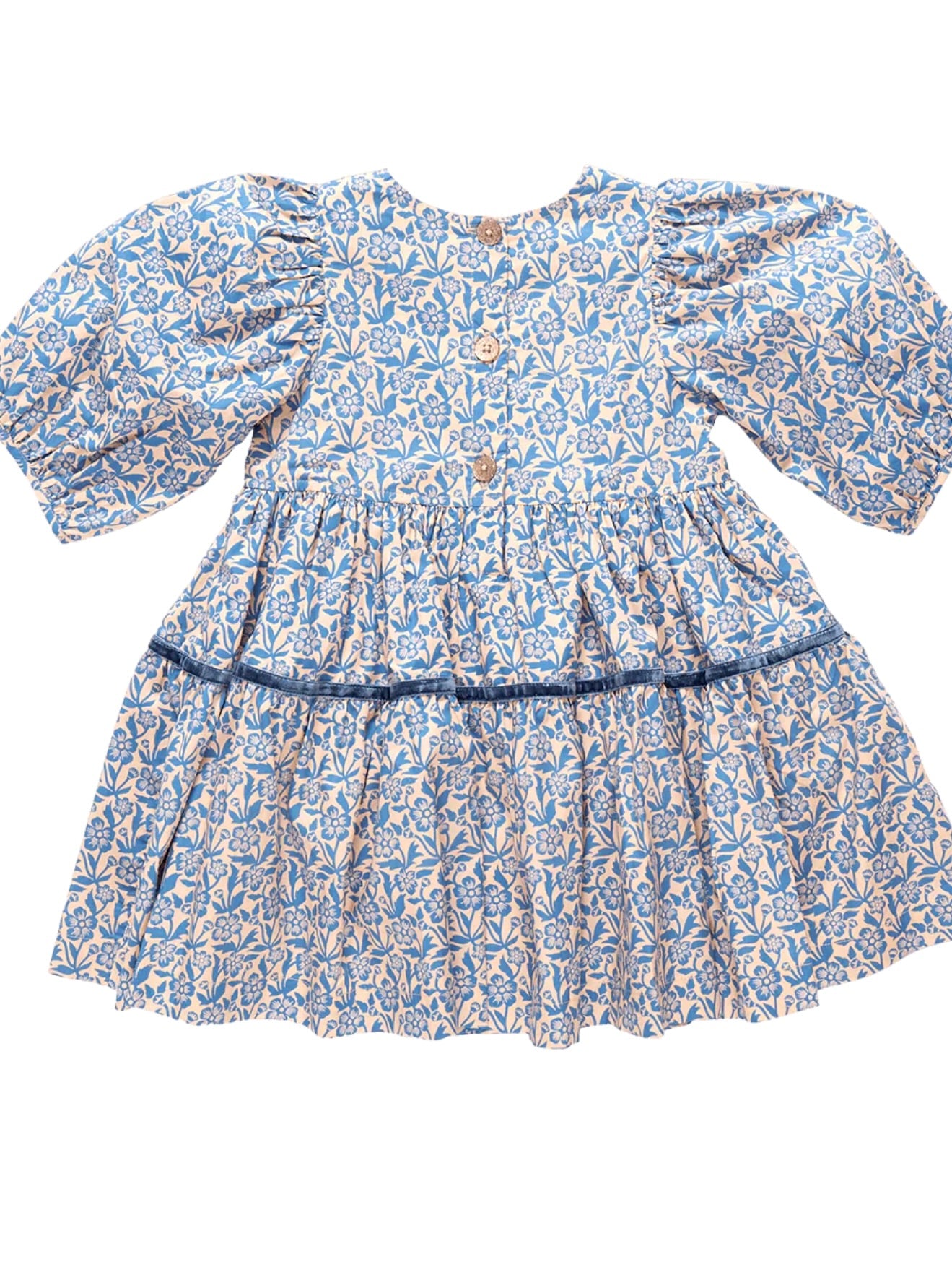 Maribelle Dress - Blue Climbing Floral