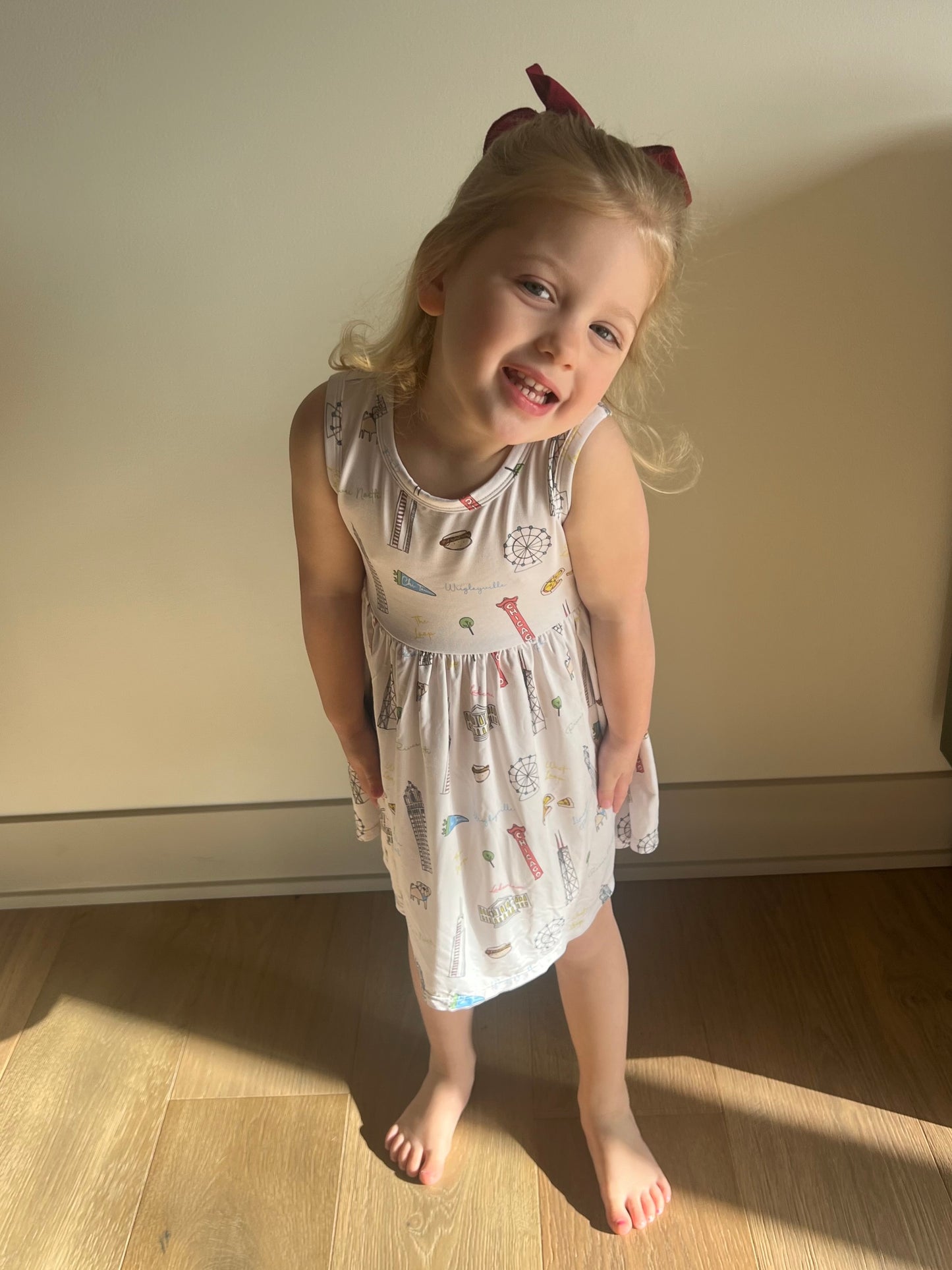 Sweet Home Chicago Tank Twirl Dress