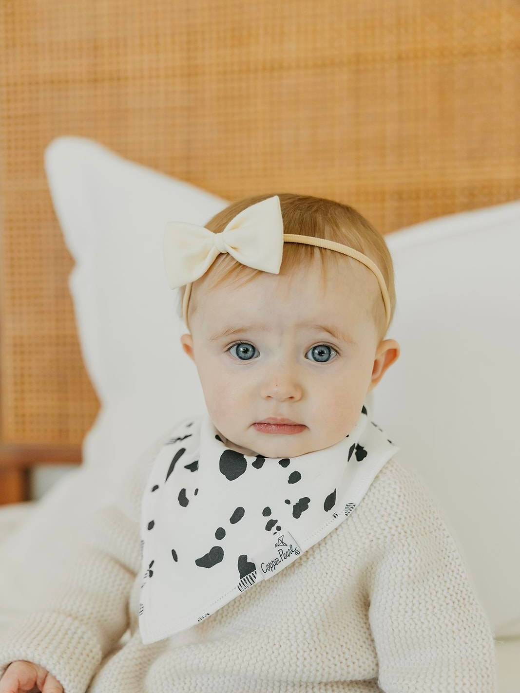 Bandana Bib 4-Pack - Rufus