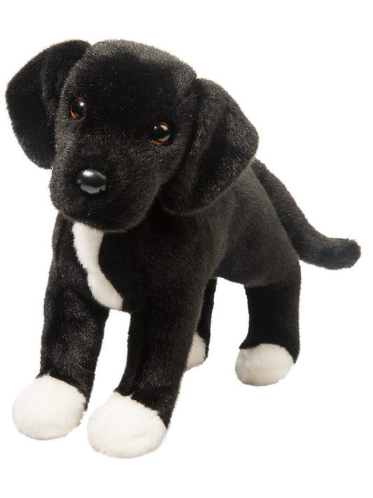 Twister Black Lab Mix