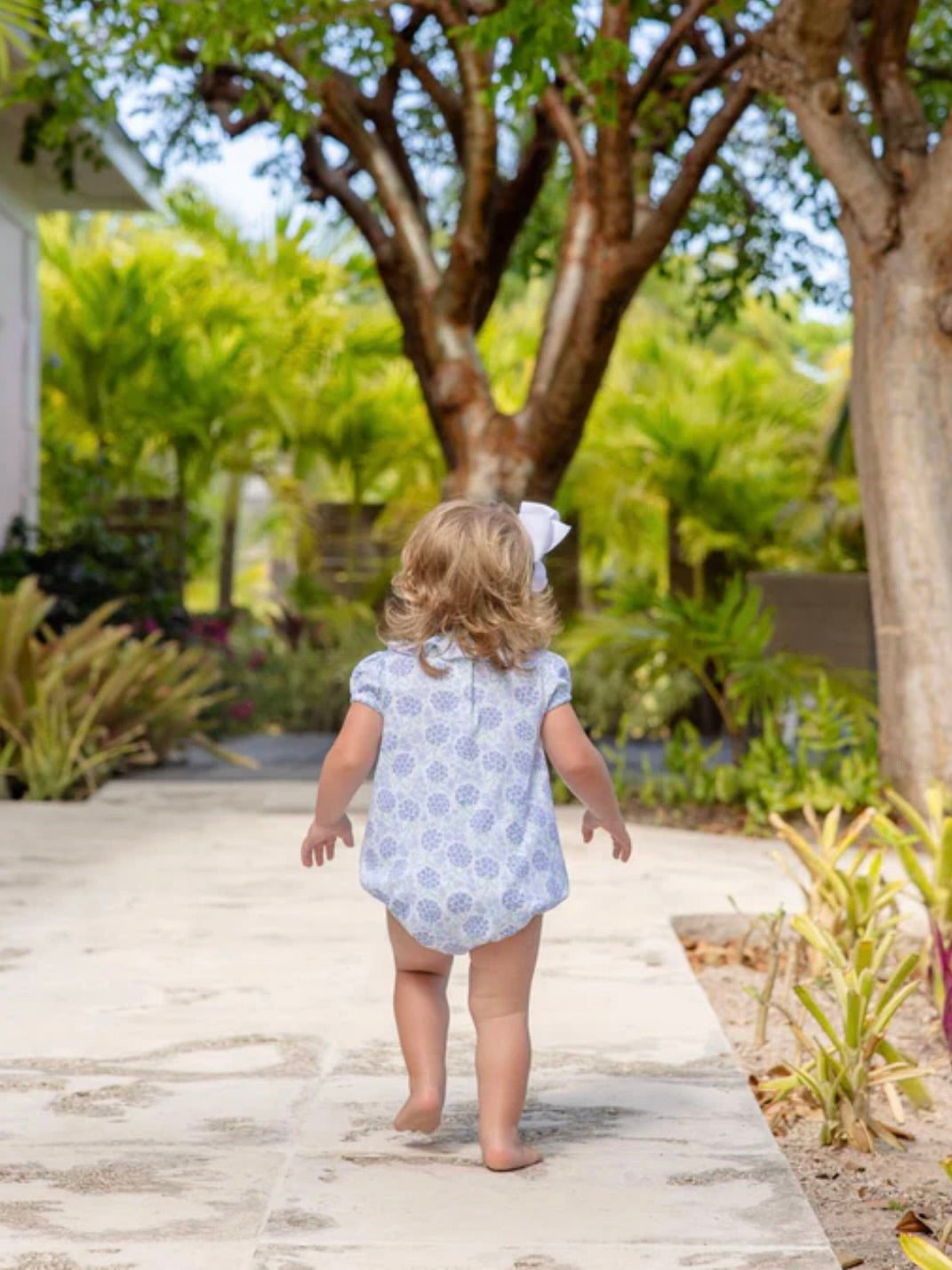 Handful of Hydrangeas Ramona Ruffle Bubble