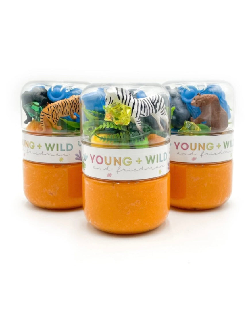 Grab & Go Dough Jar - Zoo
