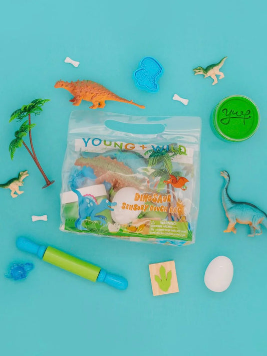 Dinosaur Sensory Dough Bag