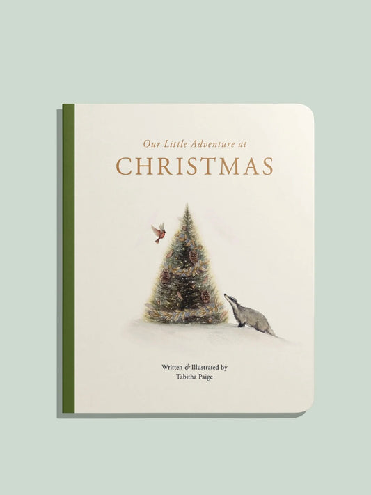 Our Little Adventure At Christmas Board Book