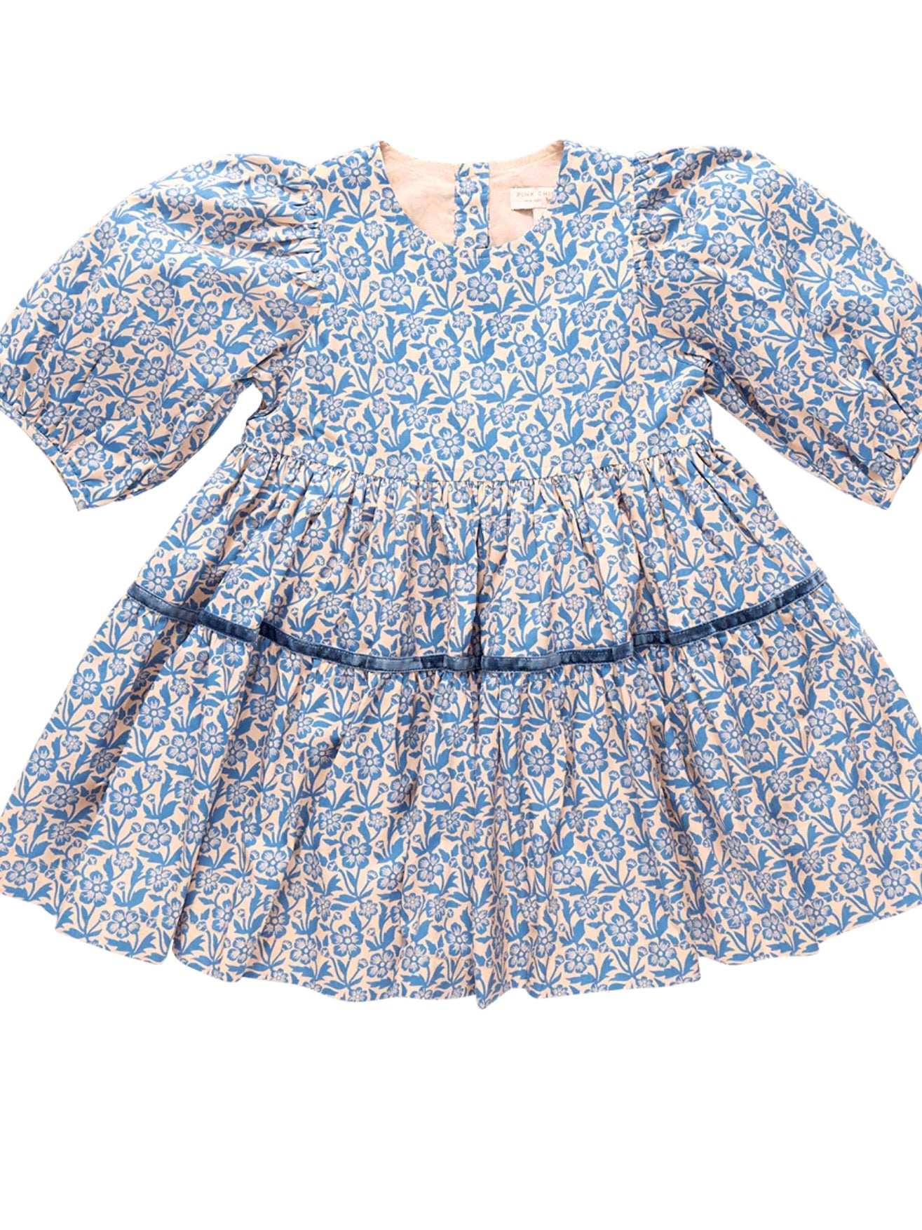 Maribelle Dress - Blue Climbing Floral