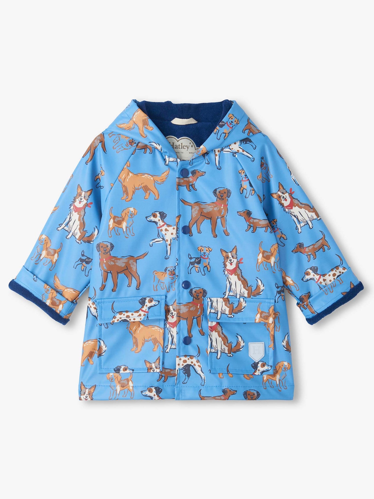 Blue Little Pups Rain Coat