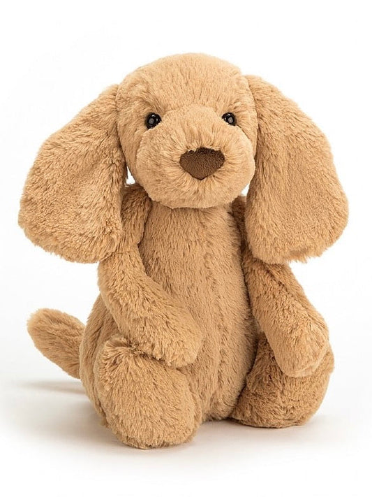 Bashful Toffee Medium Puppy